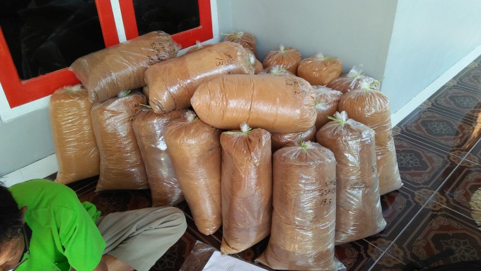 GULA KELAPA PRODUK UNGGULAN DESA SAMPANG