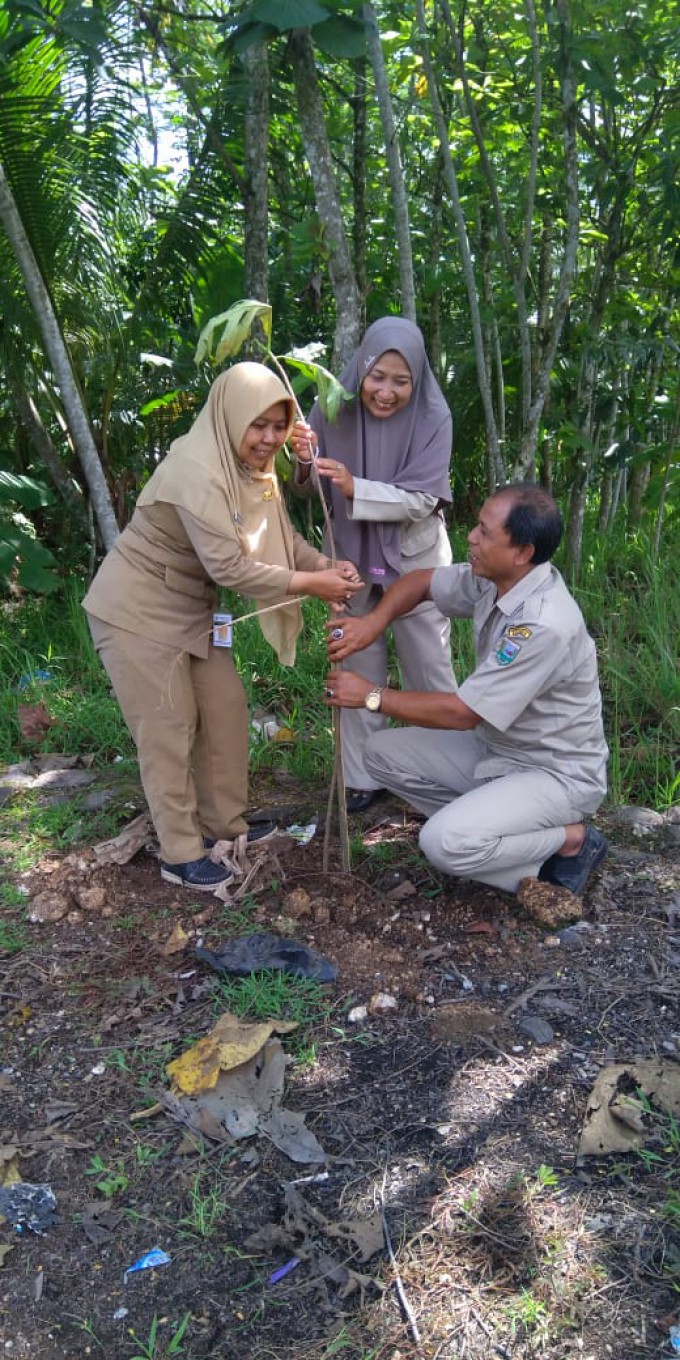 Penanaman Bibit Pohon Sukun