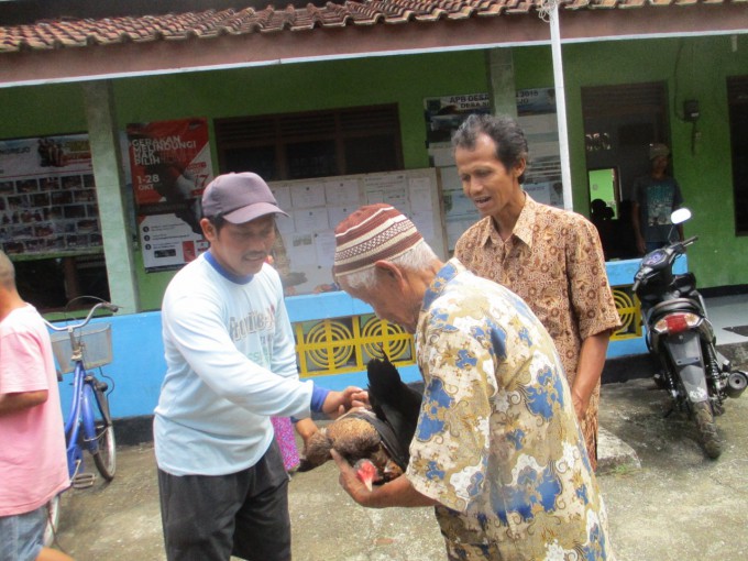 Desa Sinungrejo Tingkatkan Ekonomi Masyarakat dengan Penyaluran Bantuan Ayam