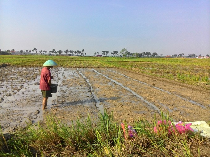 Potensi Desa Adikarso di Bidang Pertanian Yang Perlu Dikembangkan Lagi
