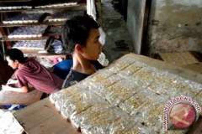 MANISNYA JIPANG KACANG KALIJIREK