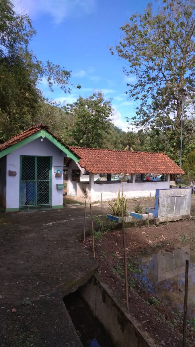 KEISTIMEWAAN DESA WIDORO