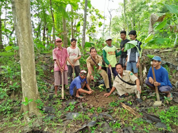 Penanaman Seribu Pohon Bambu Petung Sebagai Ekologi dan Ekonomi